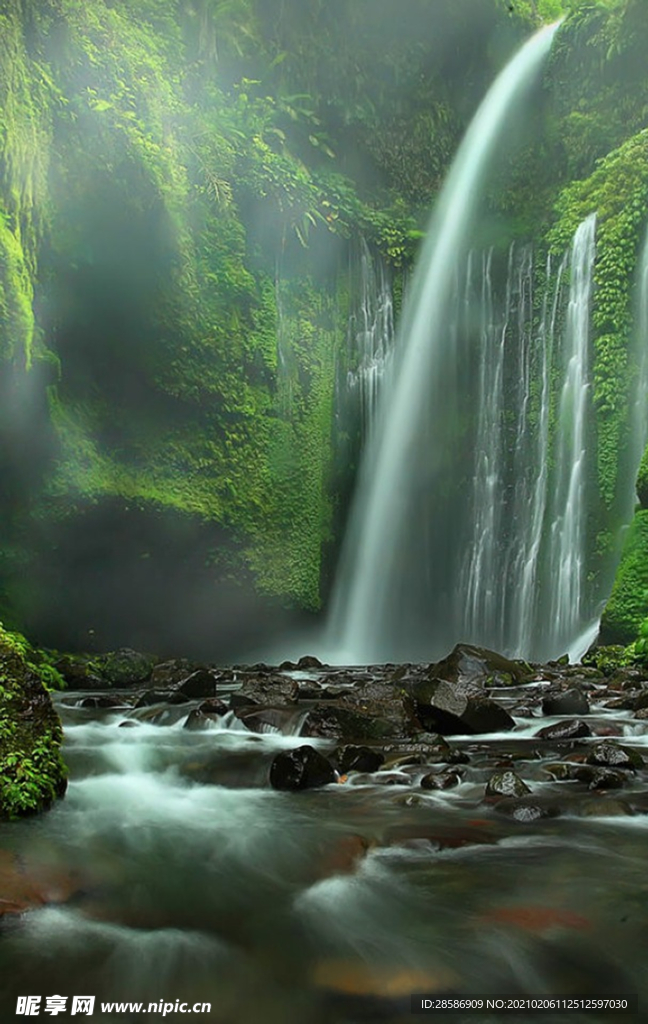 山林