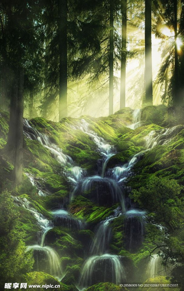 山林