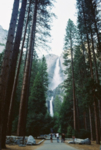 山林