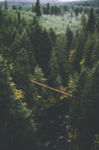 山林