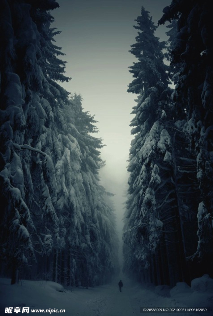 山林