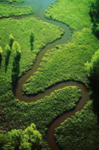 山林