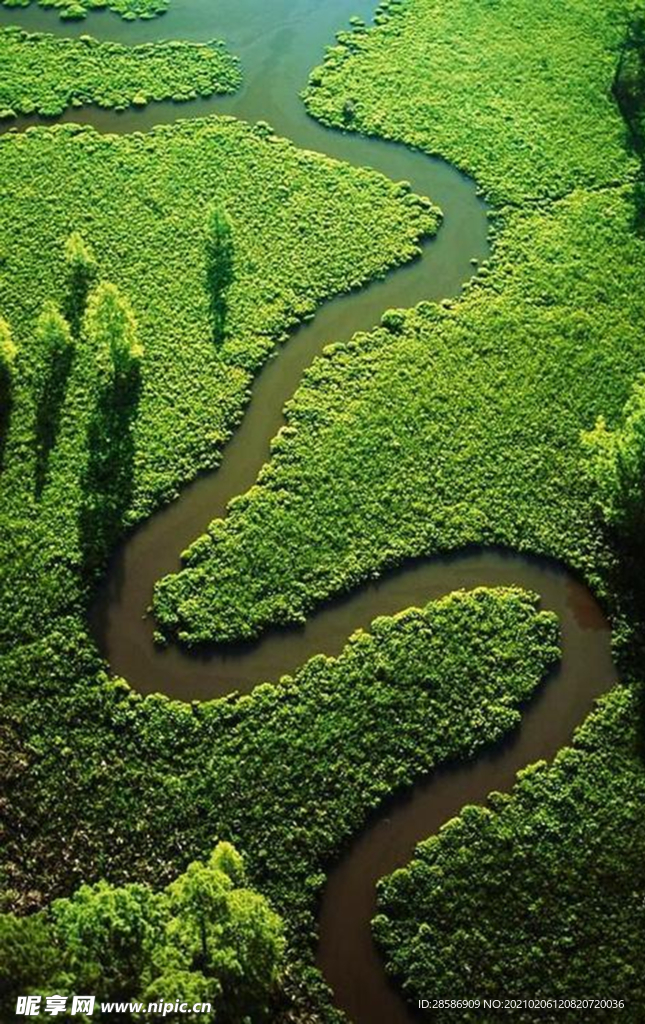 山林