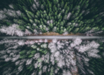 山林