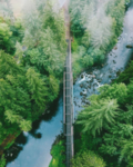 山林