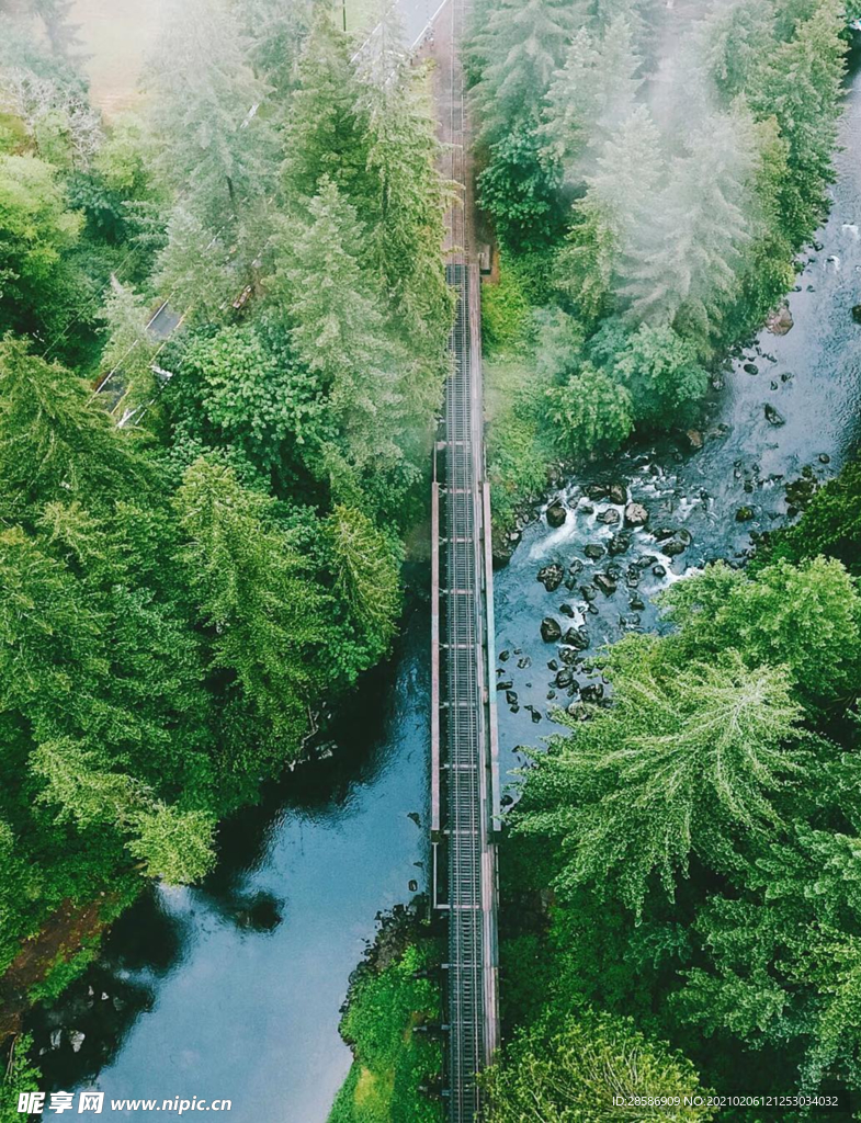 山林