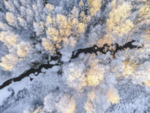 山林