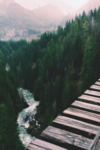 山林