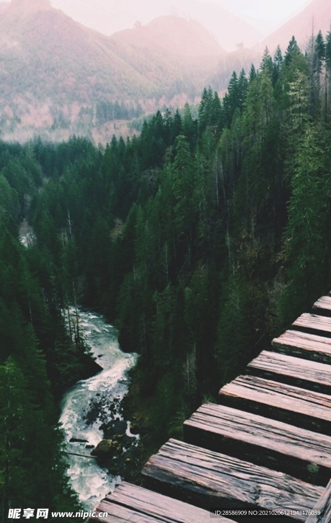 山林