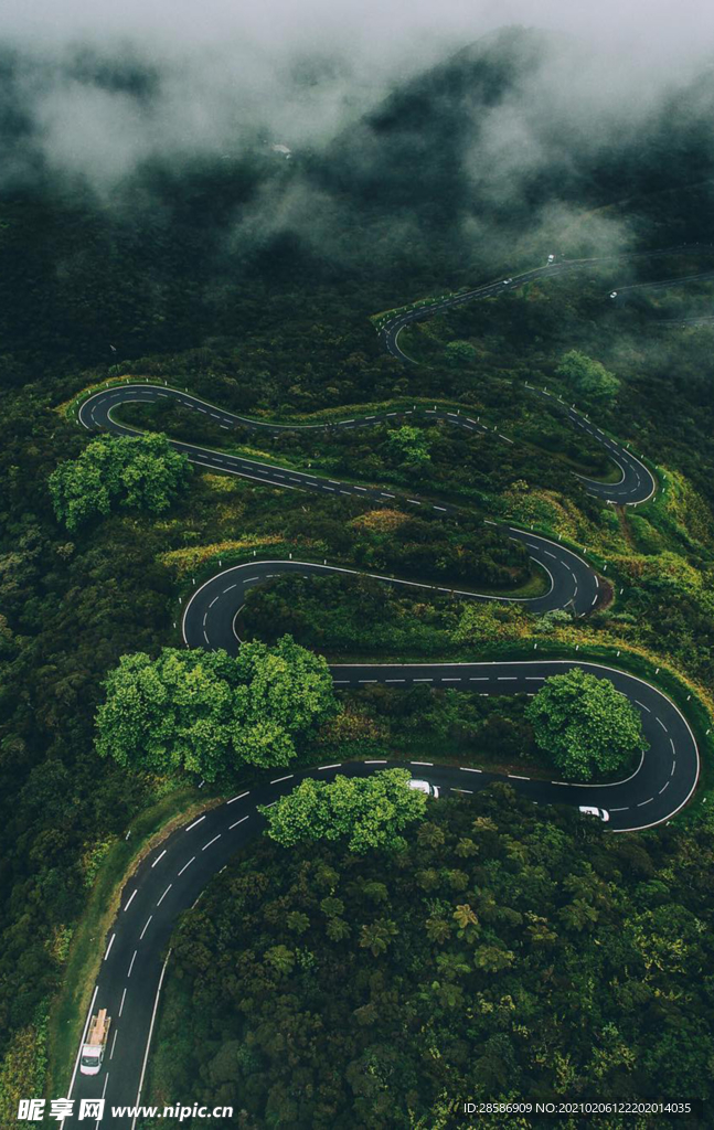 山林