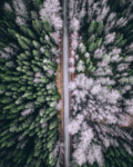 山林