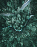 山林