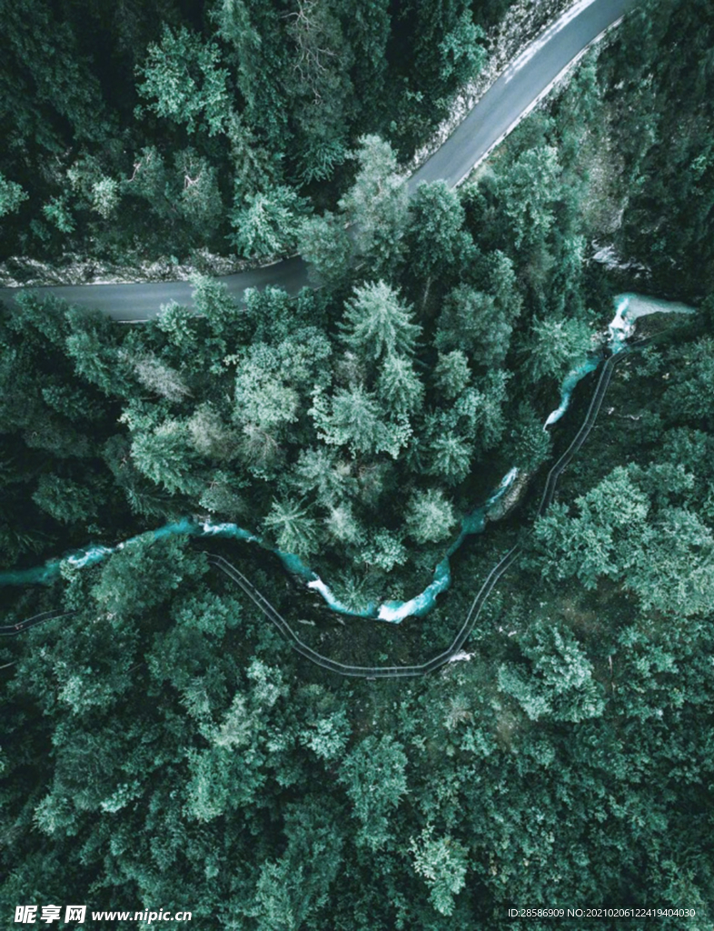 山林