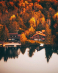 山林