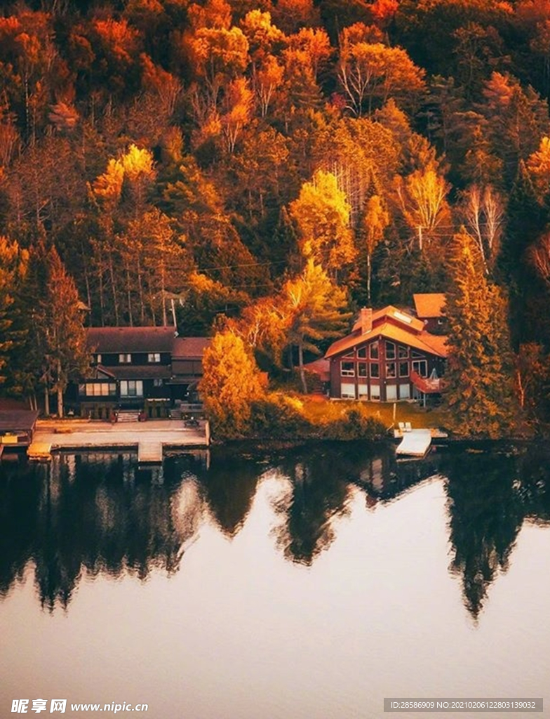 山林