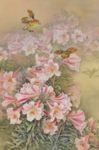 国画