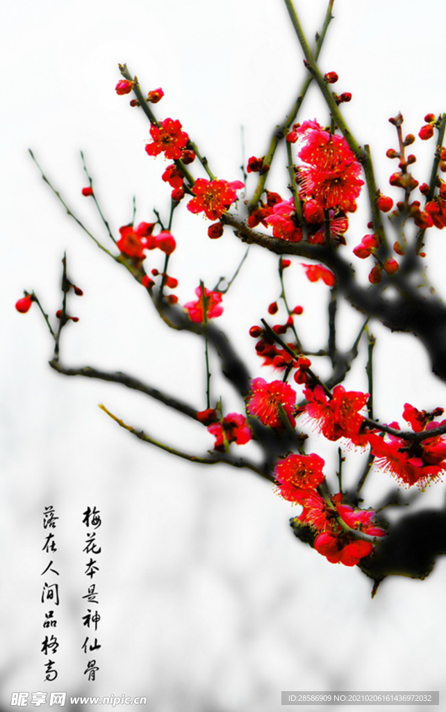 花