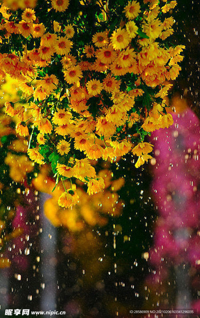 花