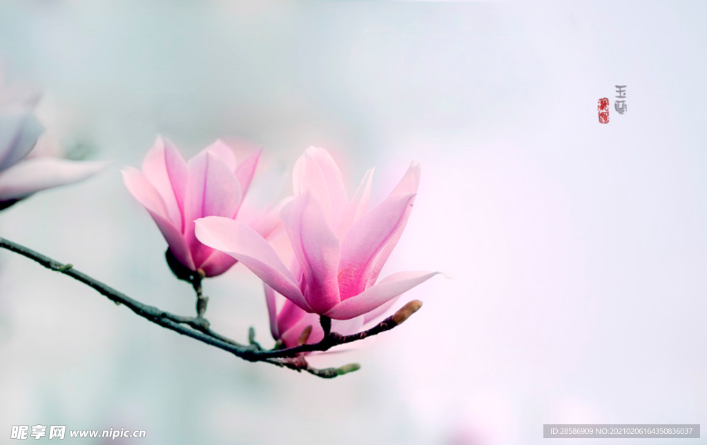 花