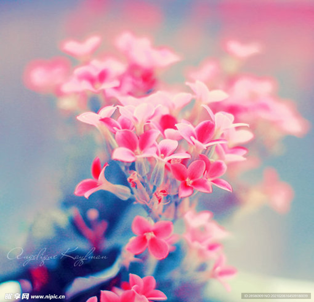 花