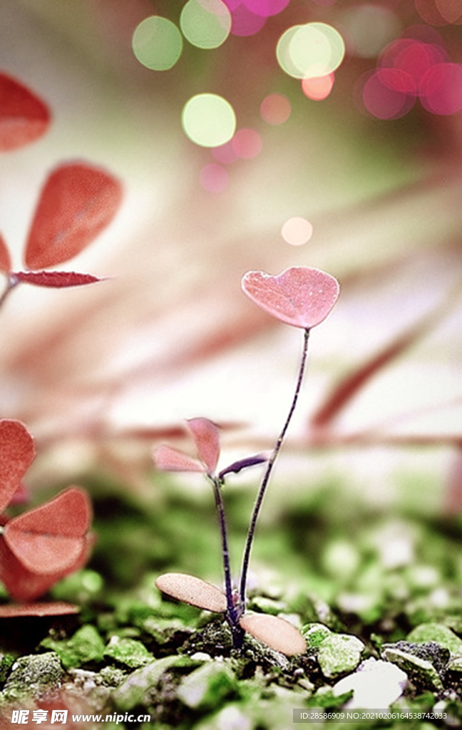 花