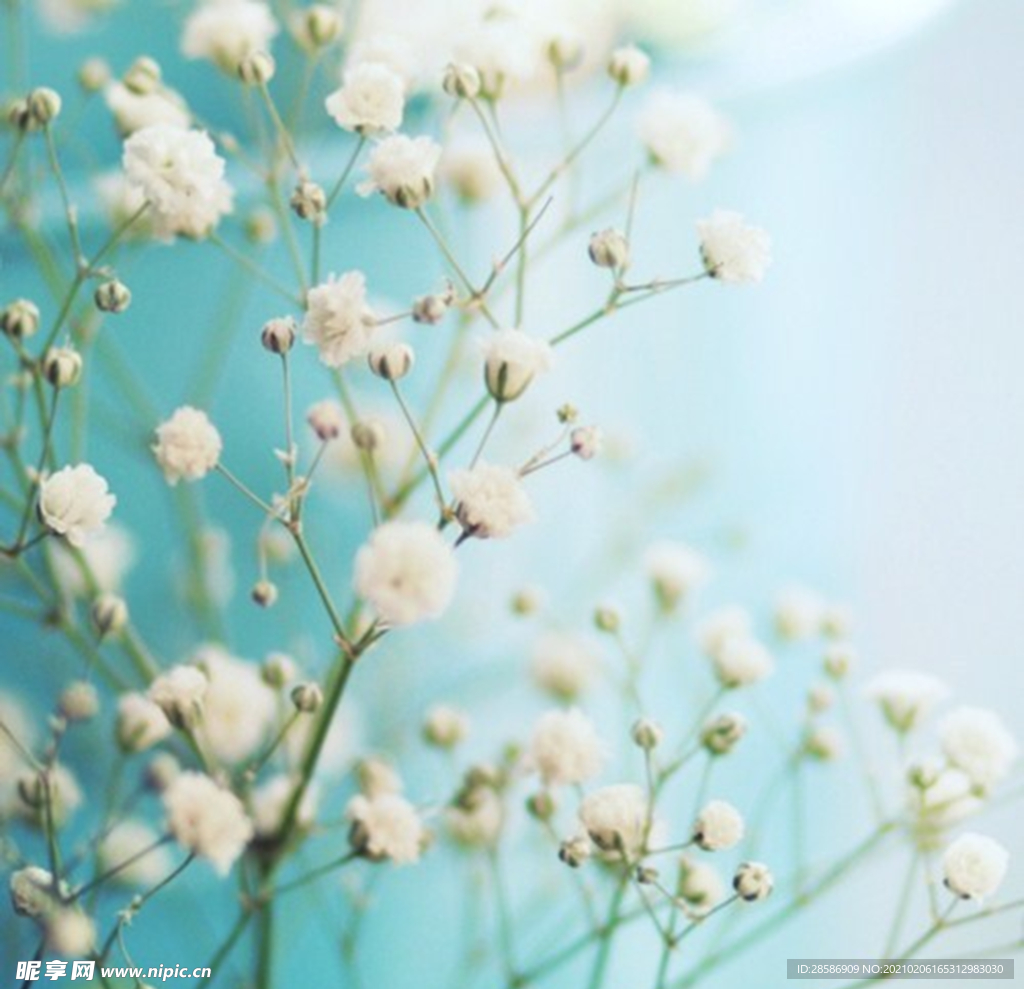 花