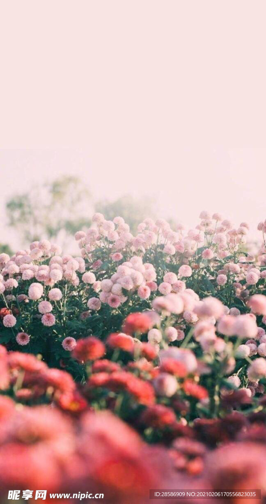 花