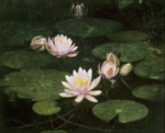 油画