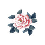 手绘花朵