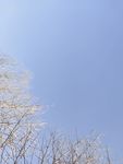 冬日雪后的天空