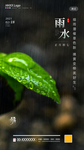 雨水