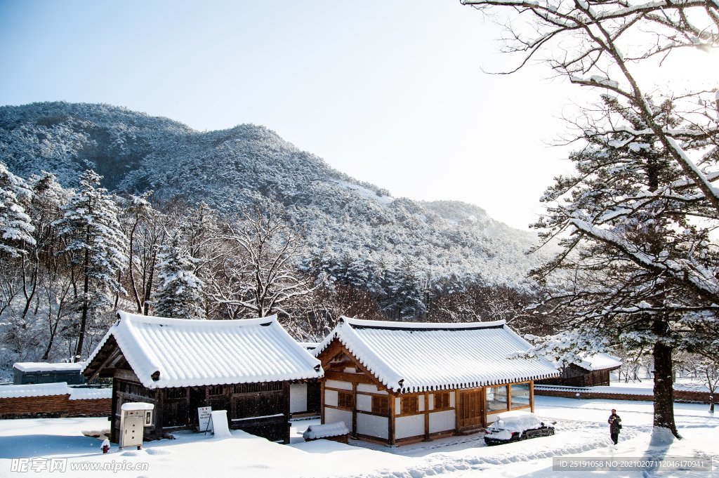 漂亮的雪景