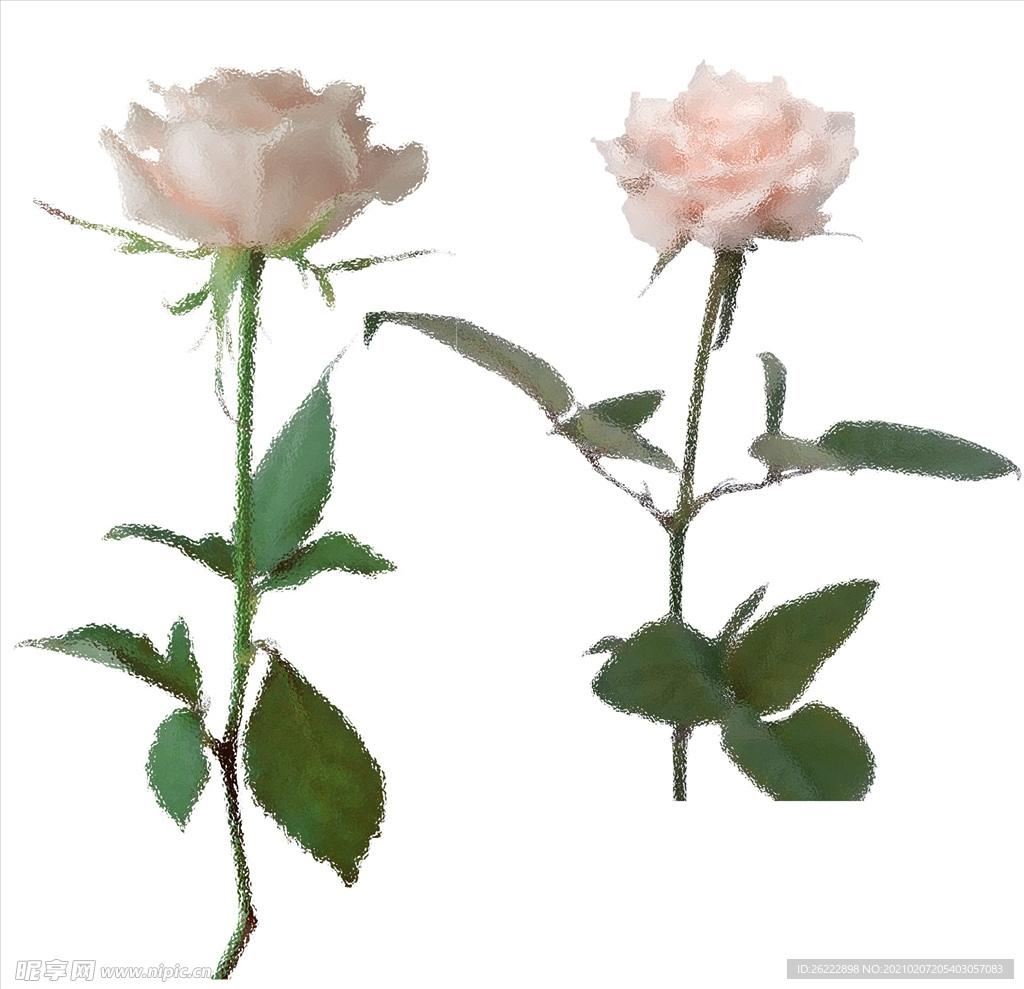 玫瑰花艺术特效