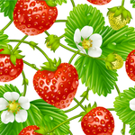 草莓