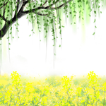 春天油菜花植物元素