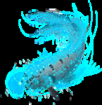 鱼