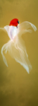 鱼