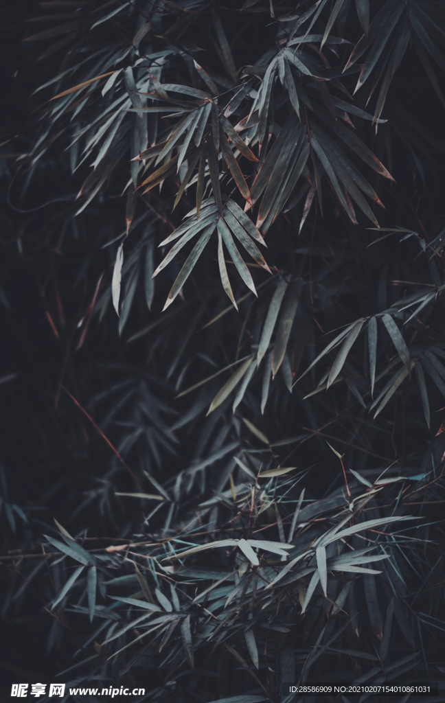 高端背景