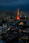 城市