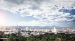 城市