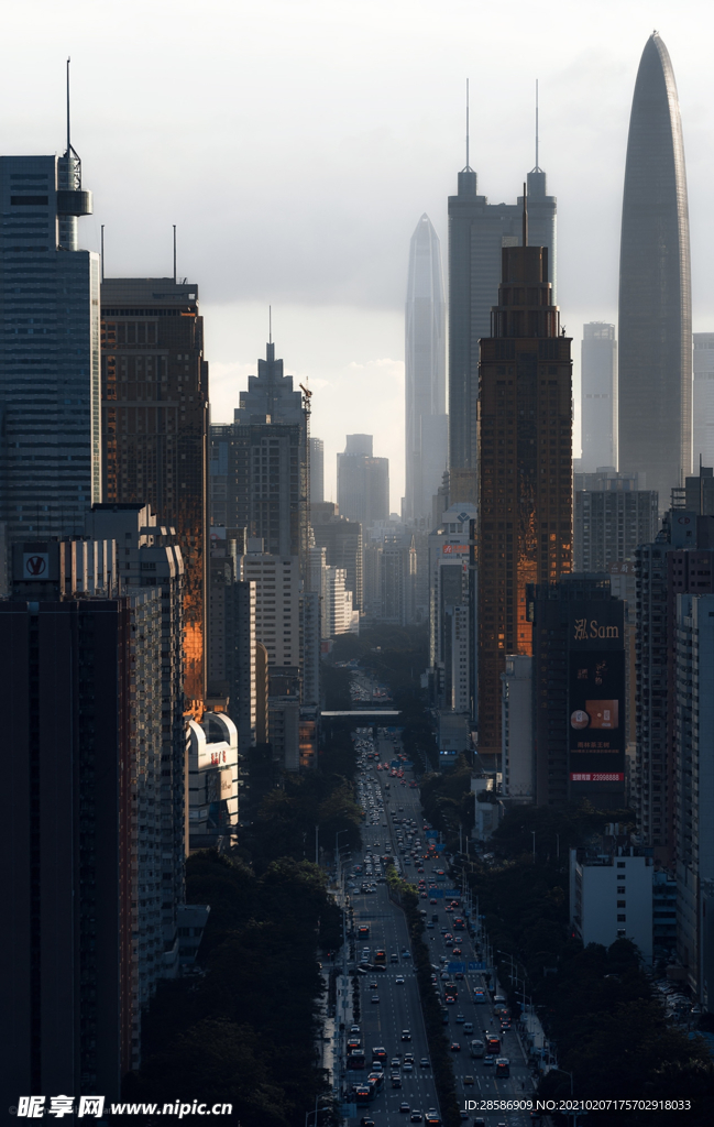 城市