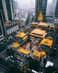 城市