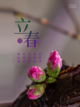 立春