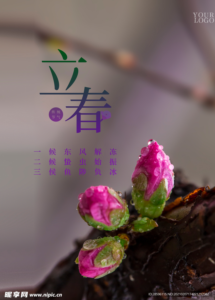 立春