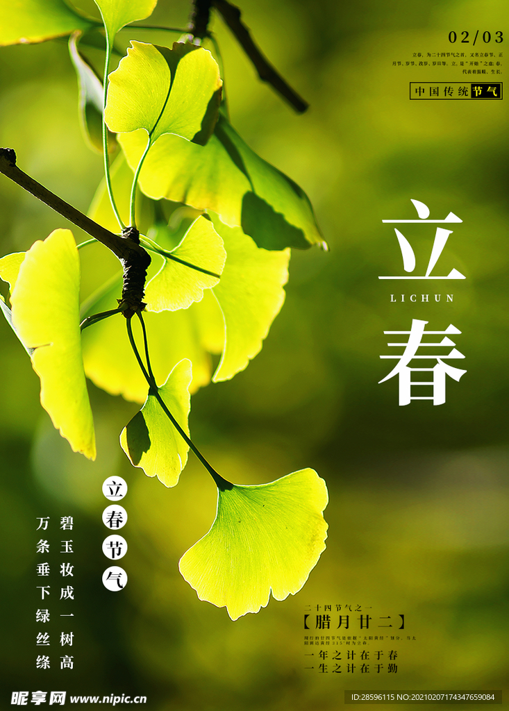 立春
