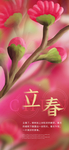 立春