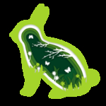 立春