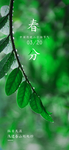 立春