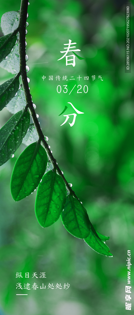 立春
