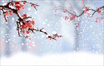 梅花